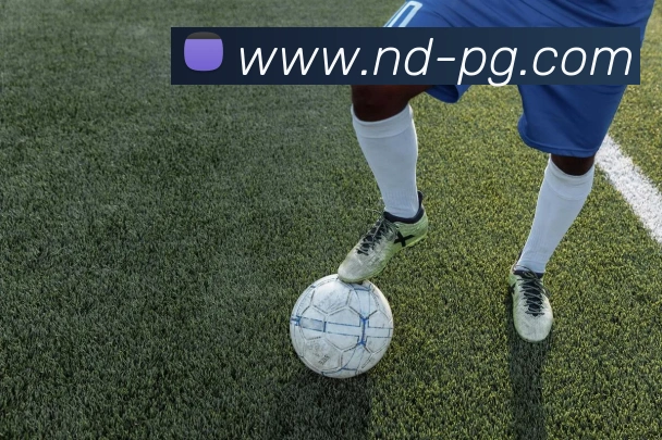 App Interface Preview